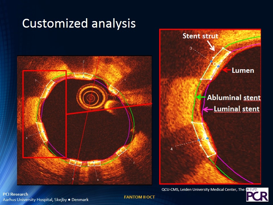 Slide 7