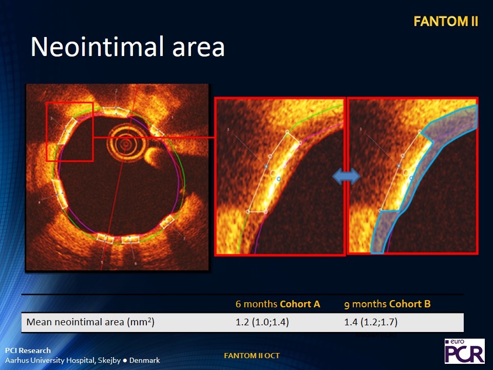 Slide 19