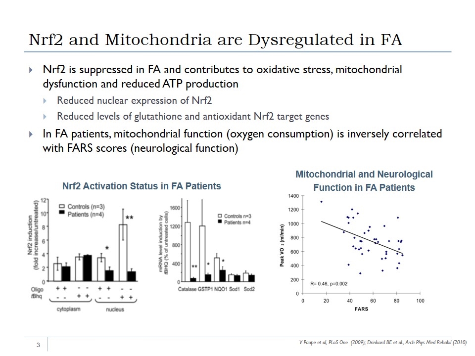 Slide 3