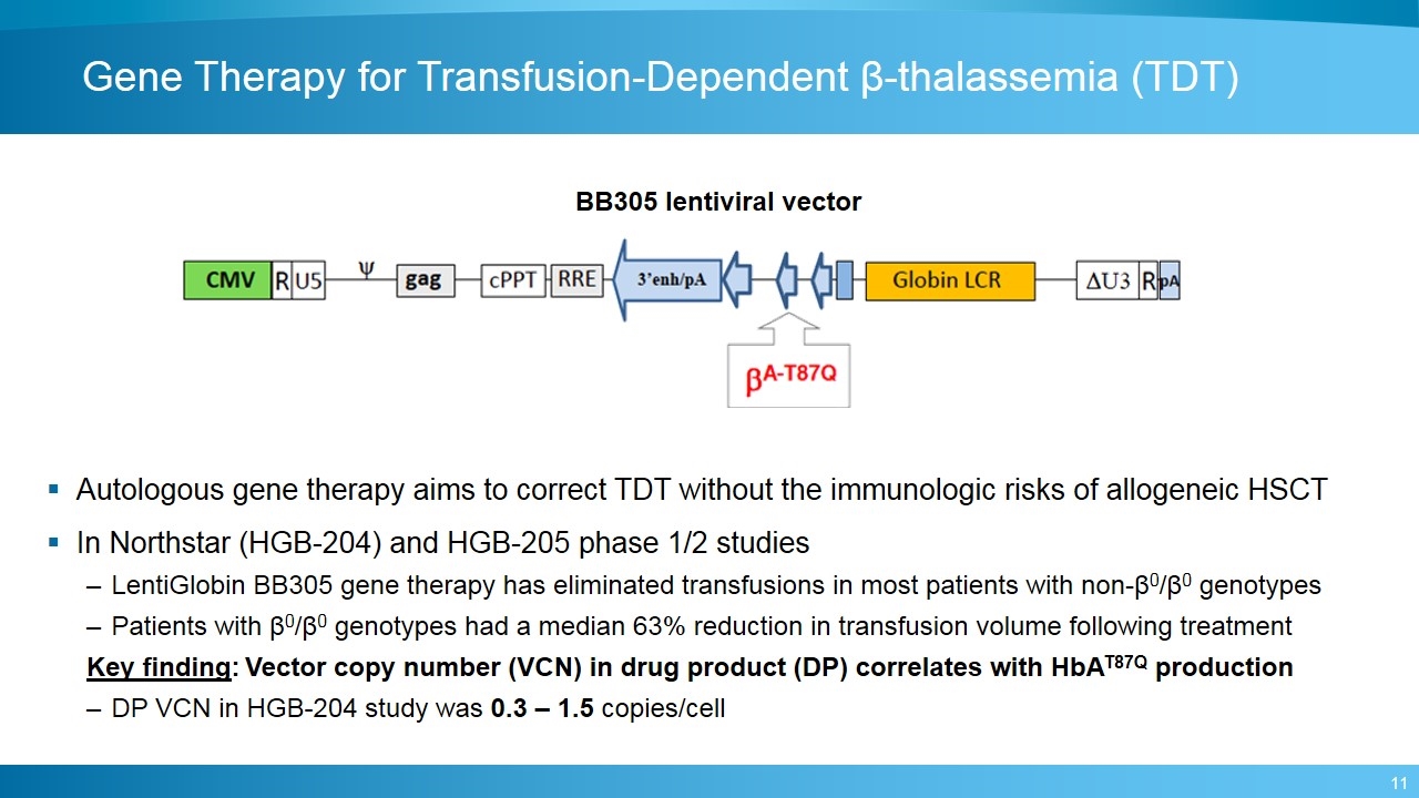 Slide 11