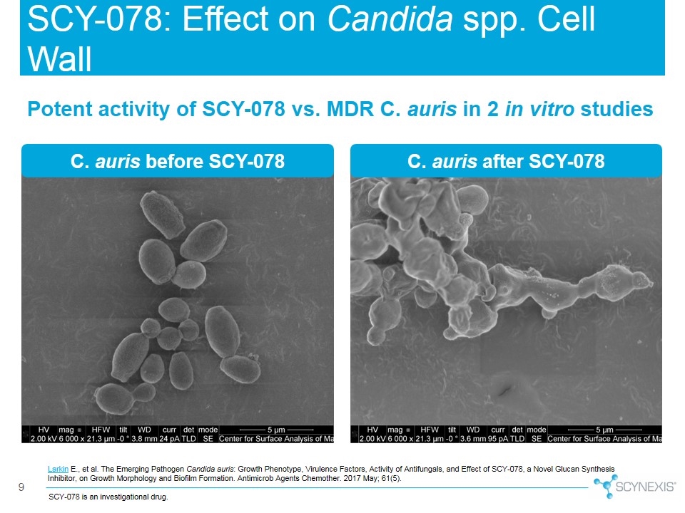 Slide 9