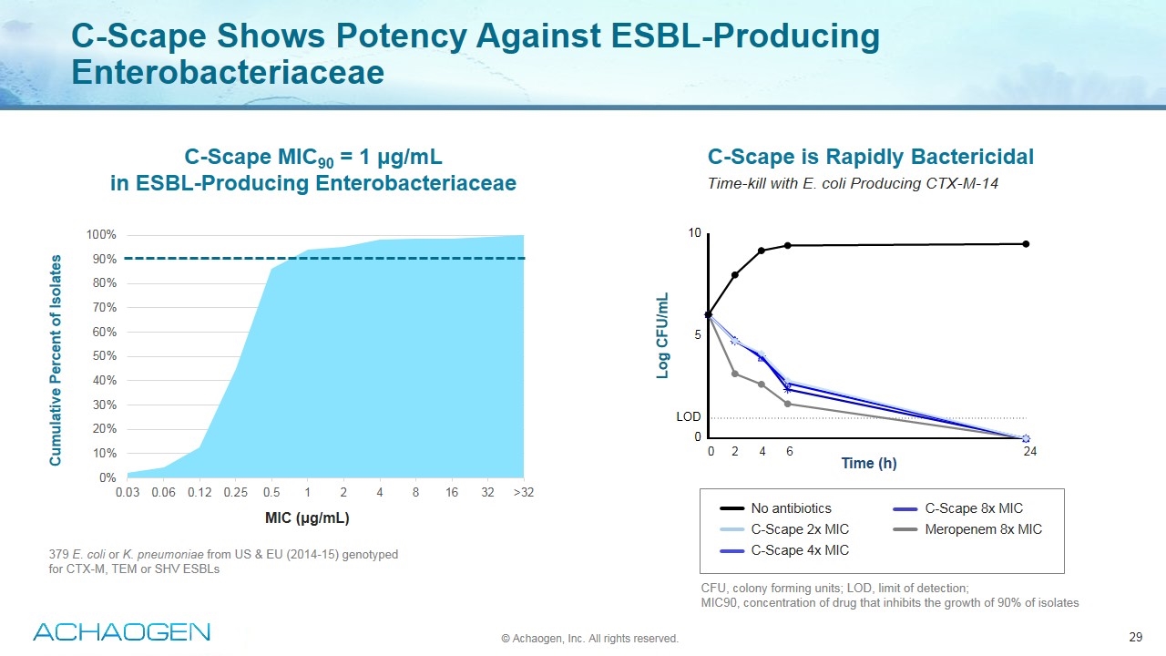 Slide 29