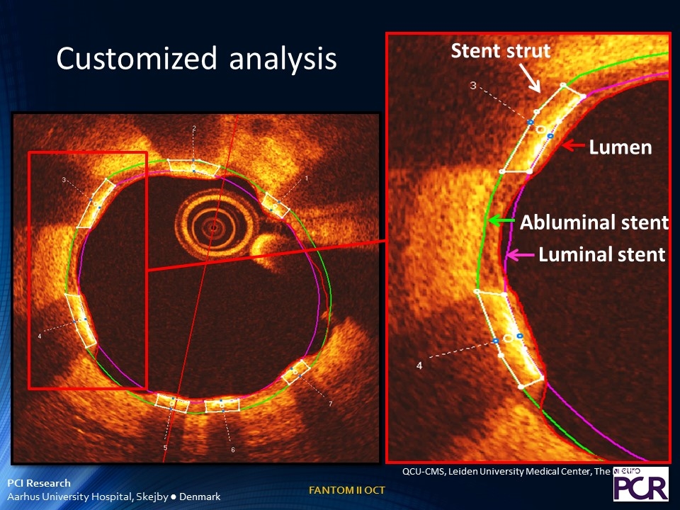 Slide 7