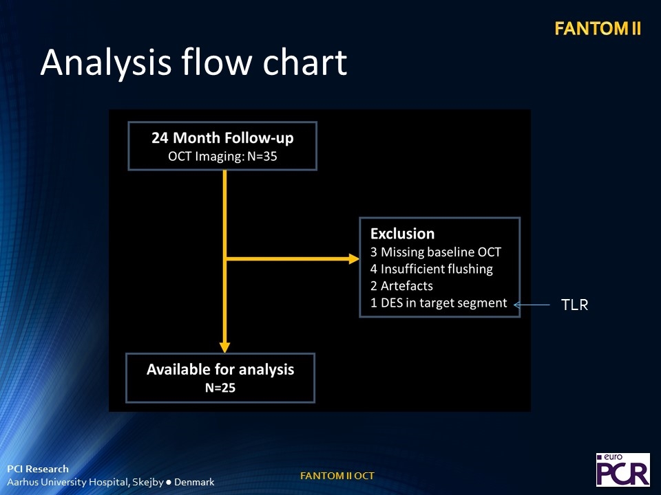 Slide 13