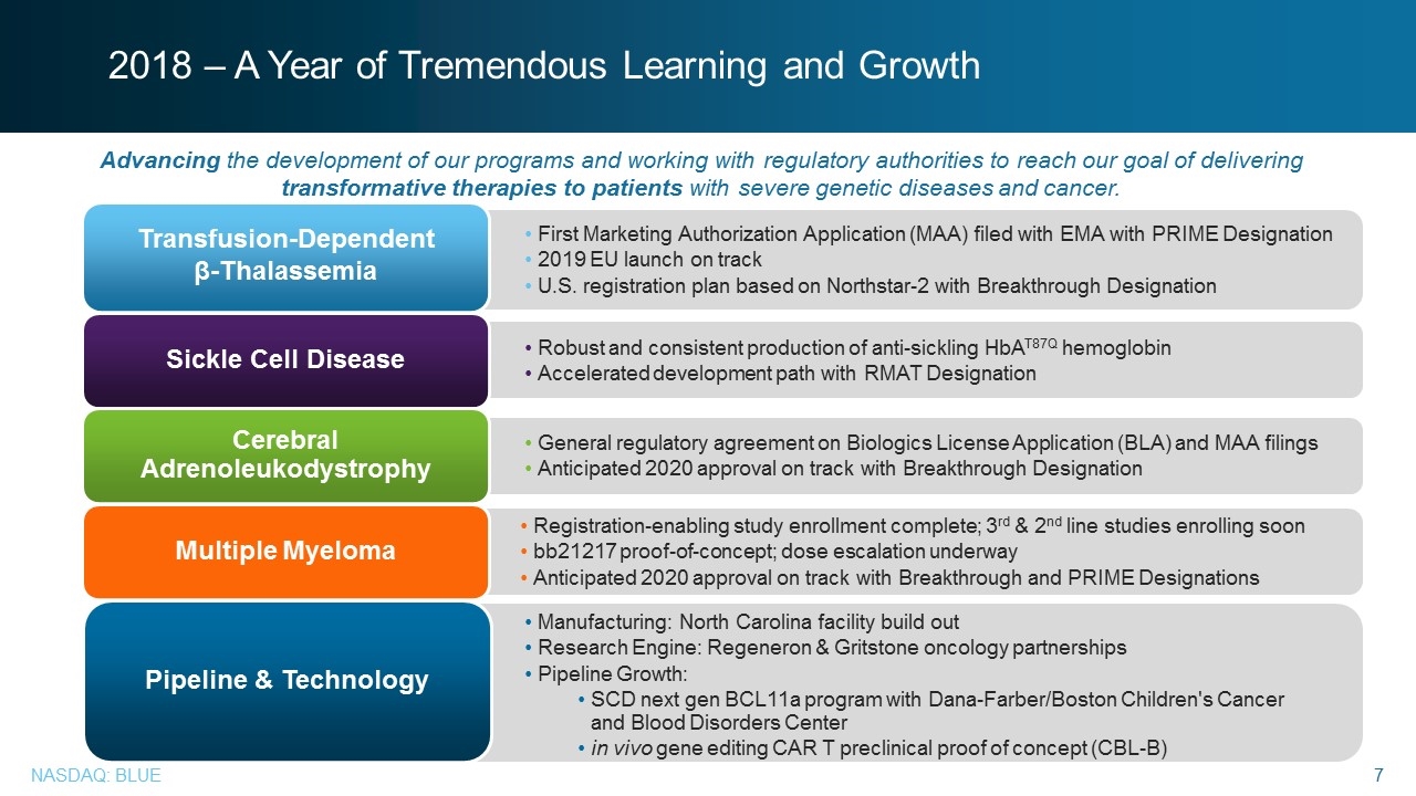 Slide 7