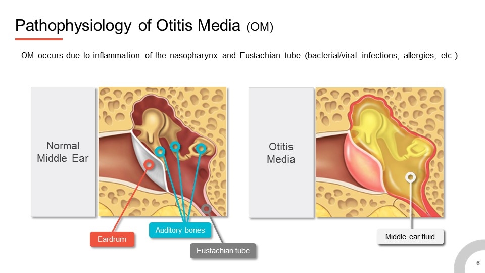 Slide 6