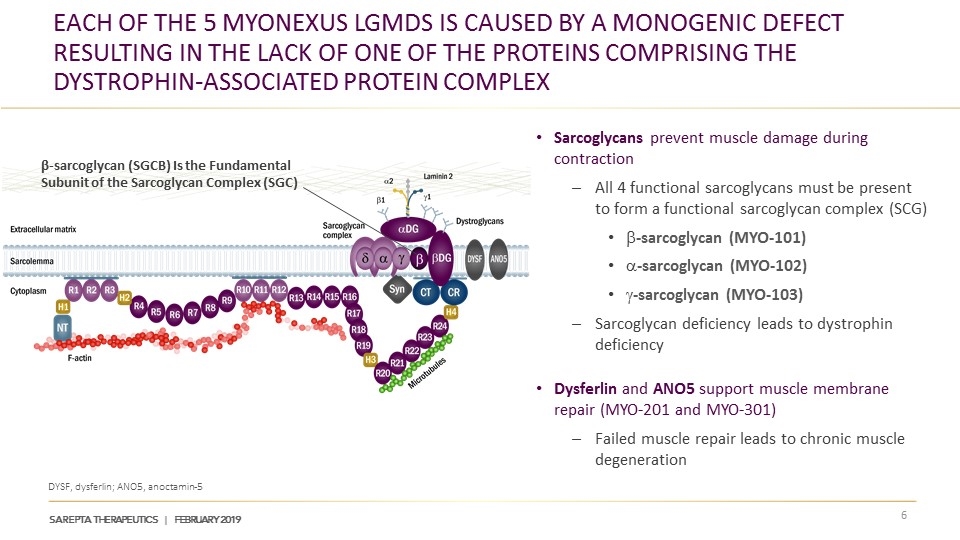 Slide 6