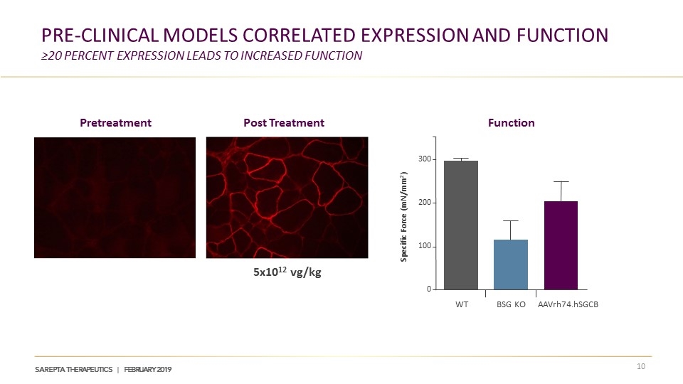 Slide 10