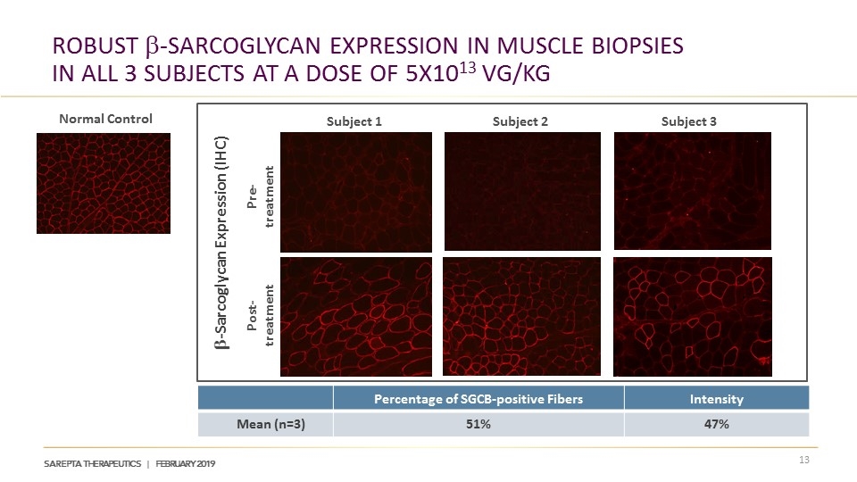 Slide 13