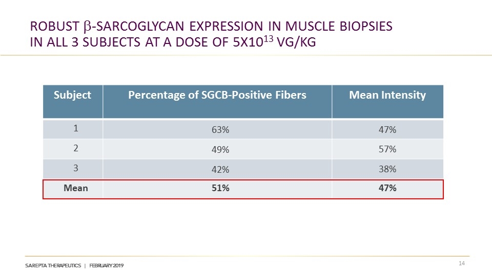 Slide 14