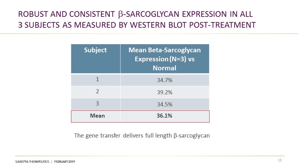 Slide 15