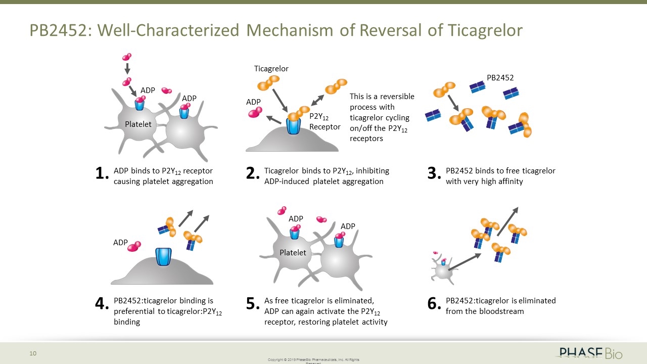 Slide 10