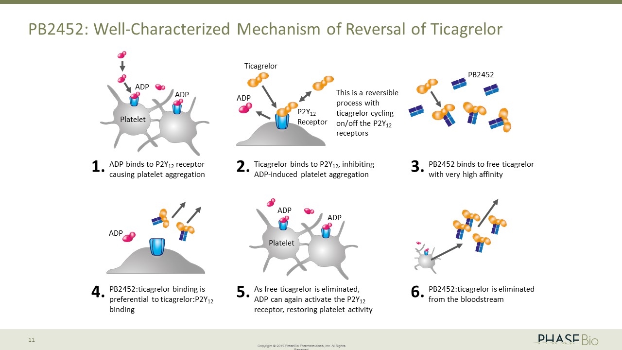 Slide 11