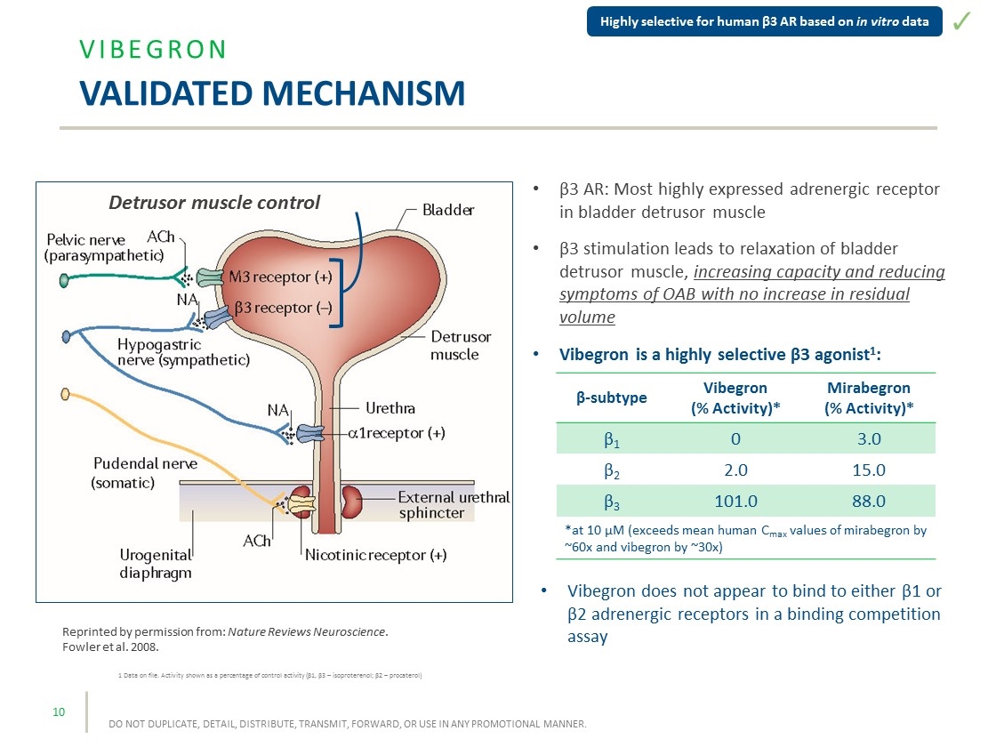 Slide 10