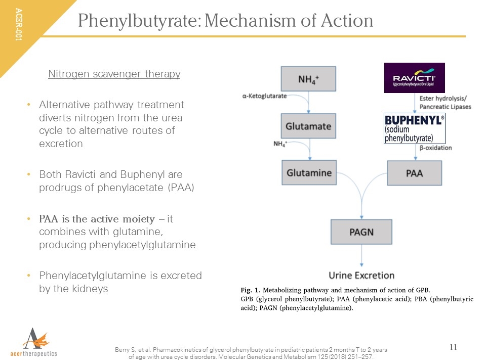 Slide 11