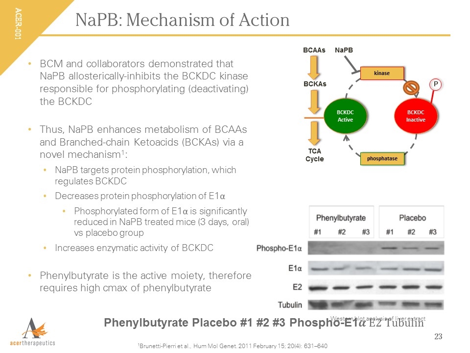 Slide 23