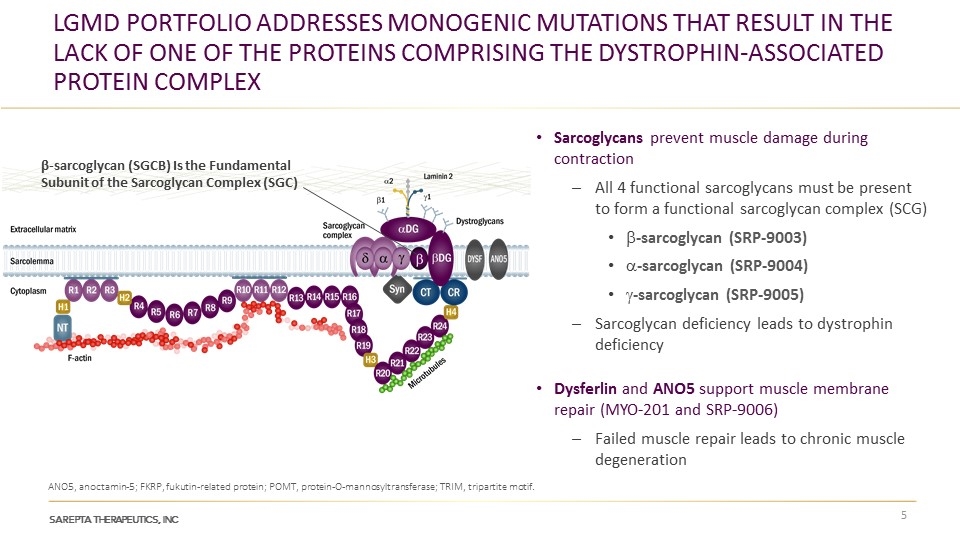 Slide 5