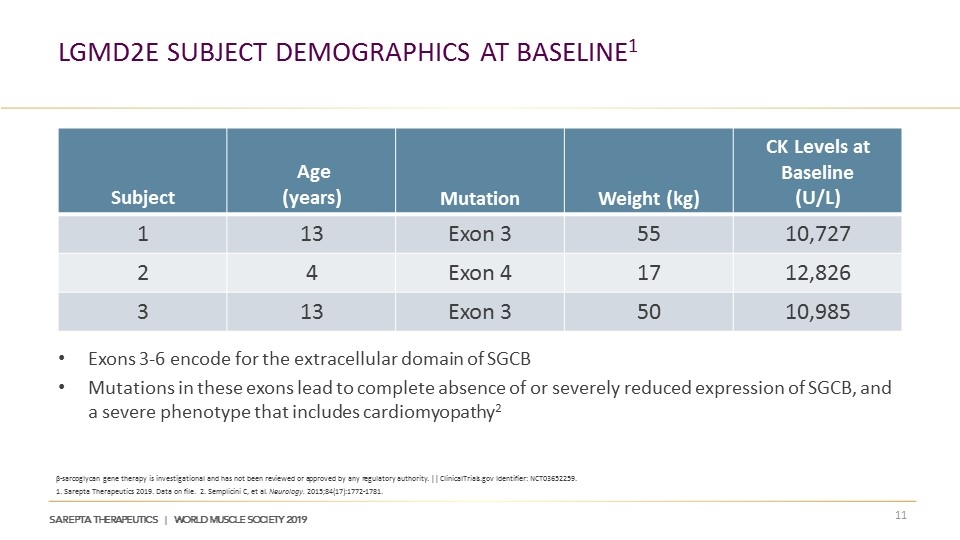 Slide 11