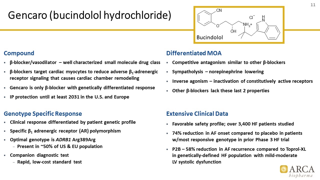 Slide 11