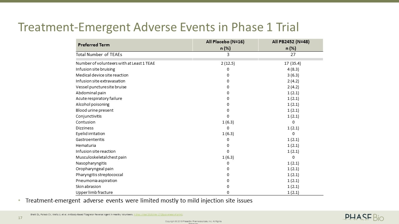 Slide 17