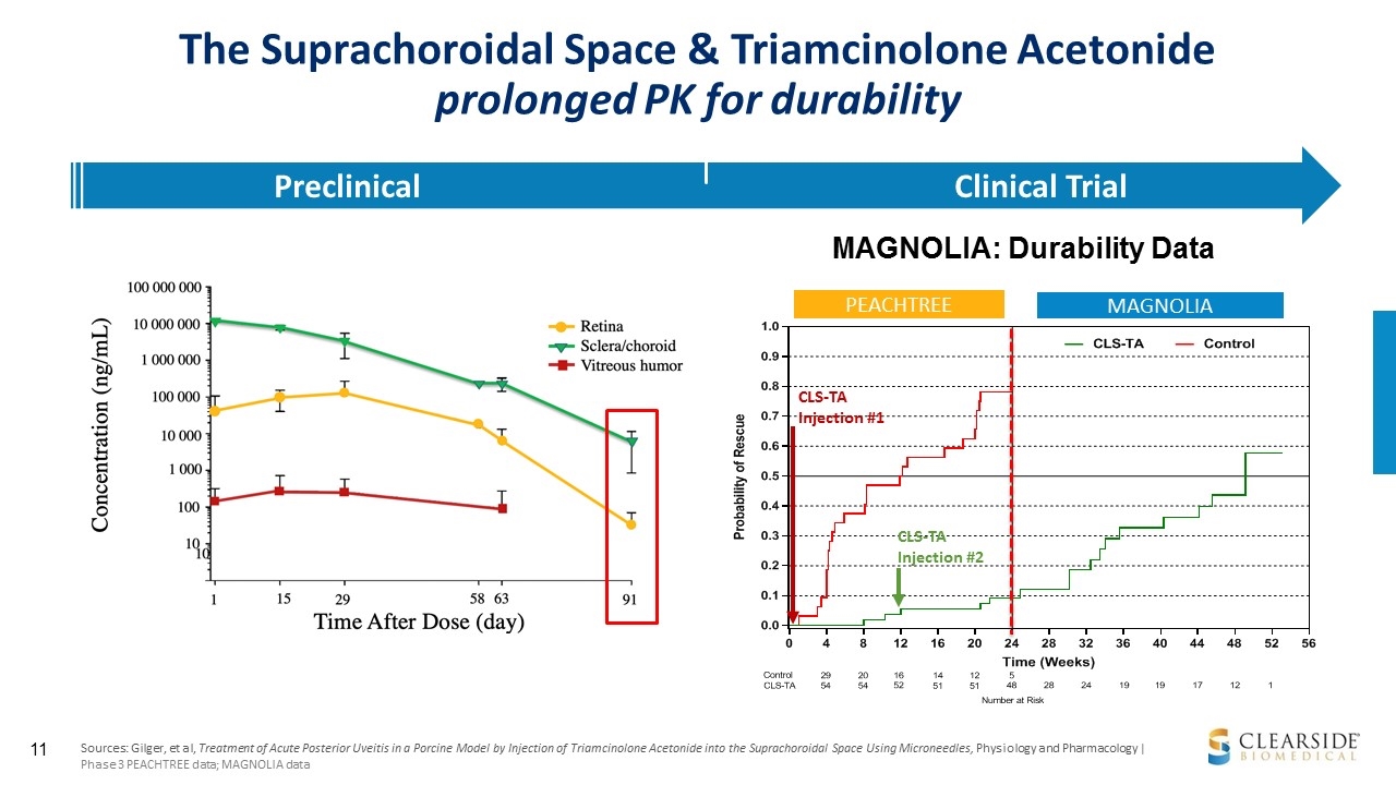 Slide 11