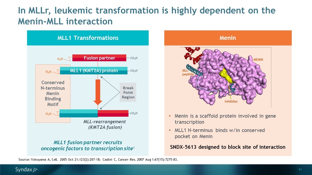 Slide 11