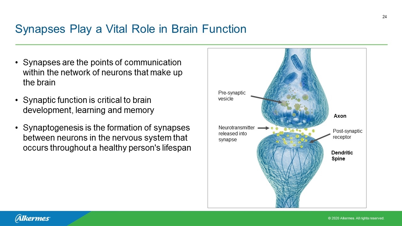 Slide 24