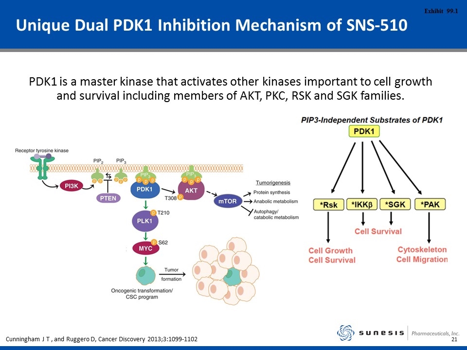 Slide 21