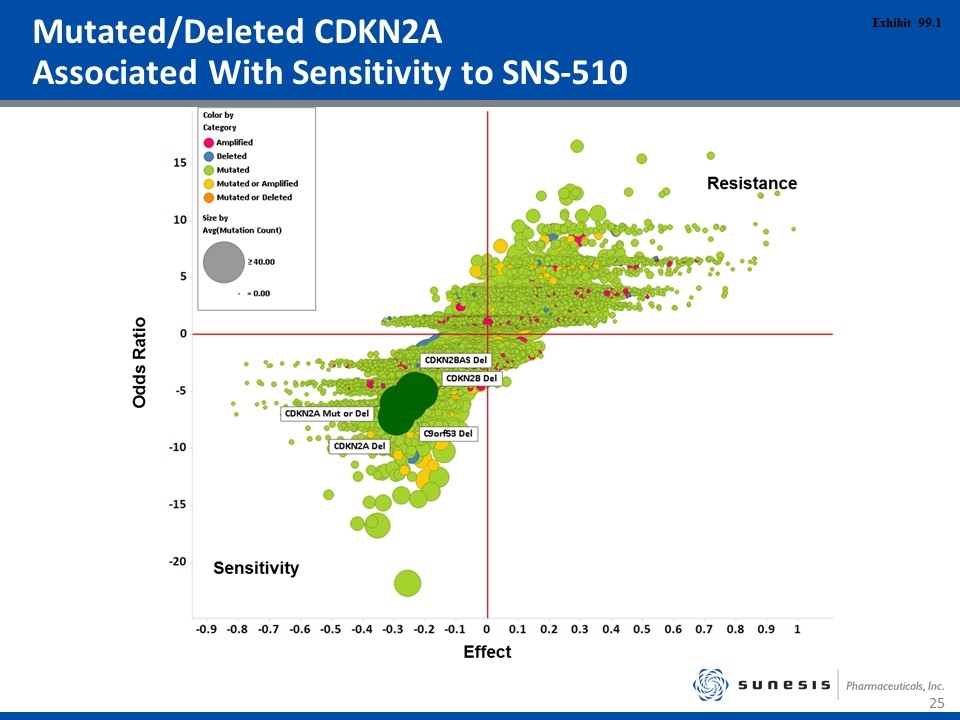 Slide 25