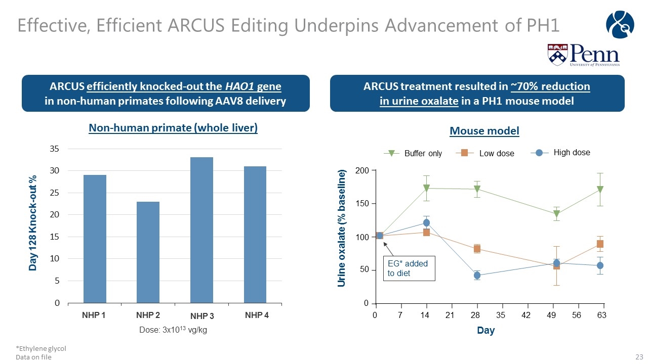 Slide 23