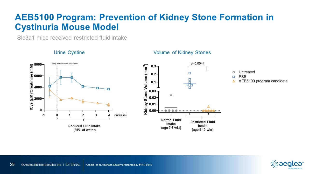 Slide 29