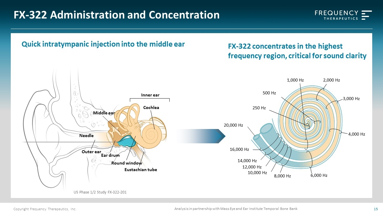 Slide 15