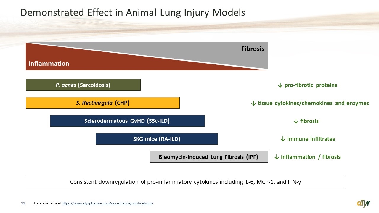 Slide 11