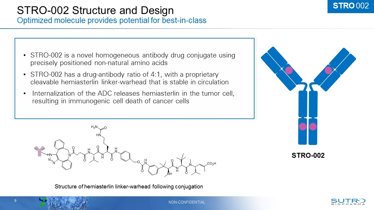 Slide 9