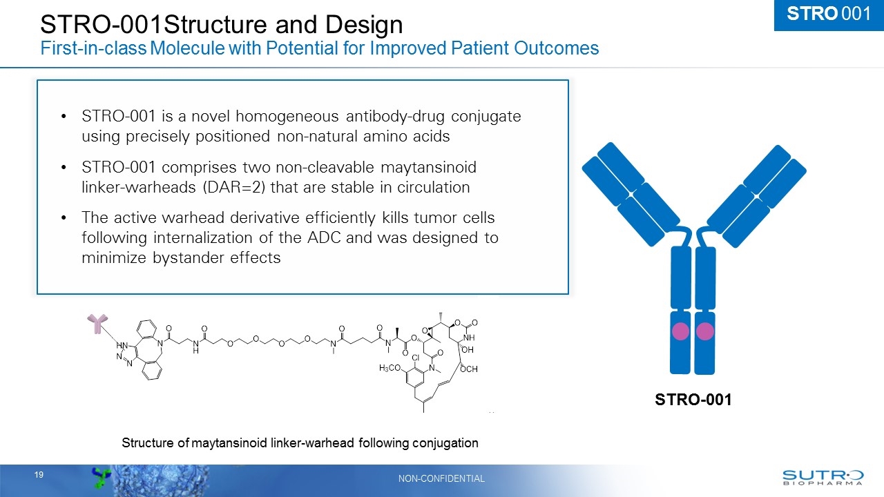 Slide 19