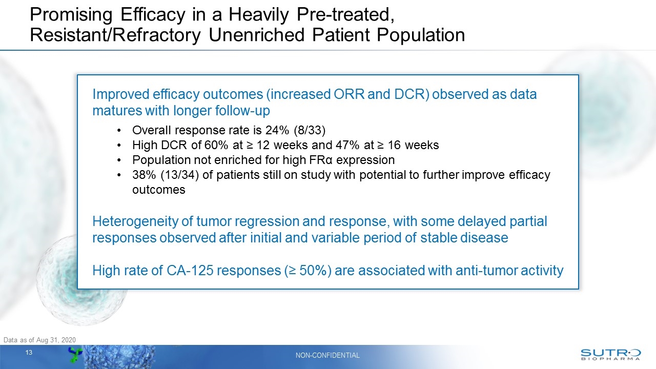 Slide 13