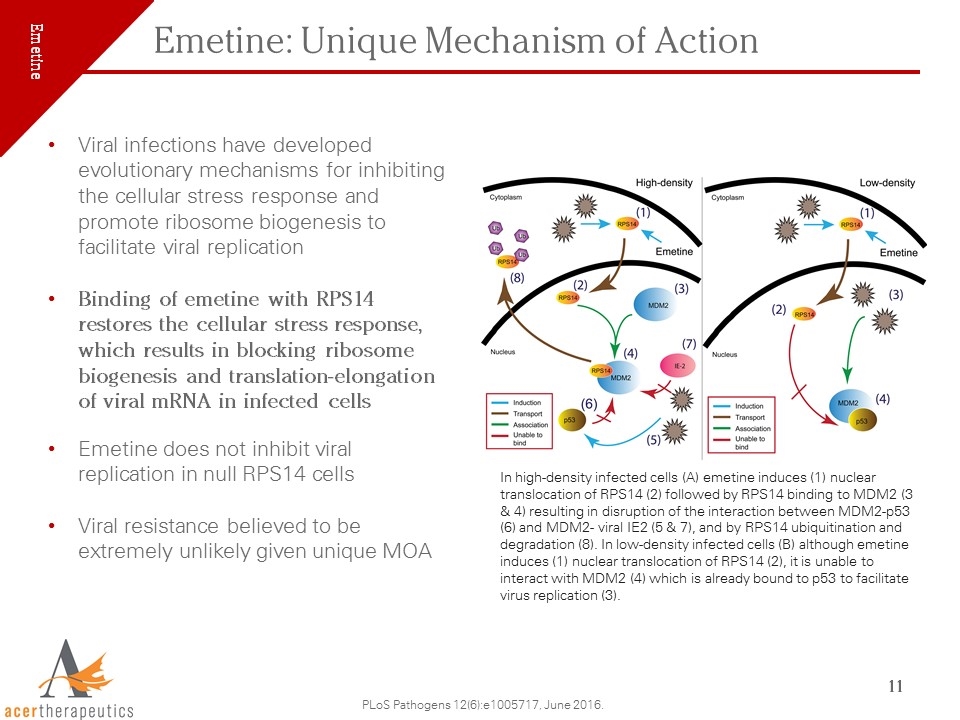 Slide 11