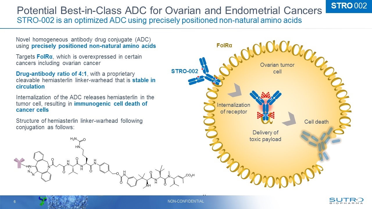 Slide 6