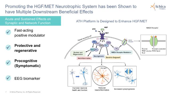 Slide 7