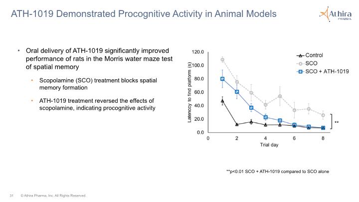 Slide 31