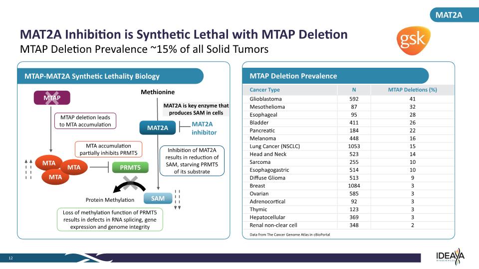 Slide 12