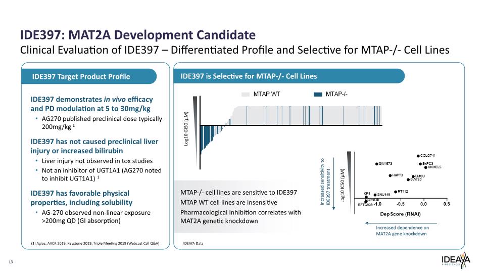 Slide 13