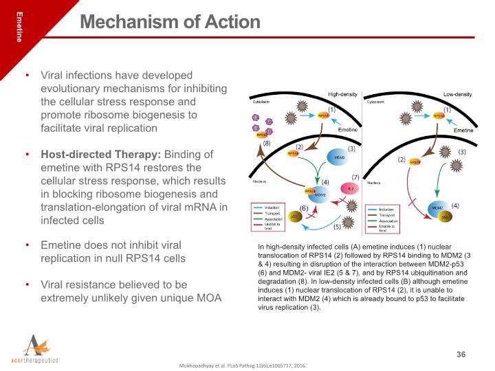 Slide 36