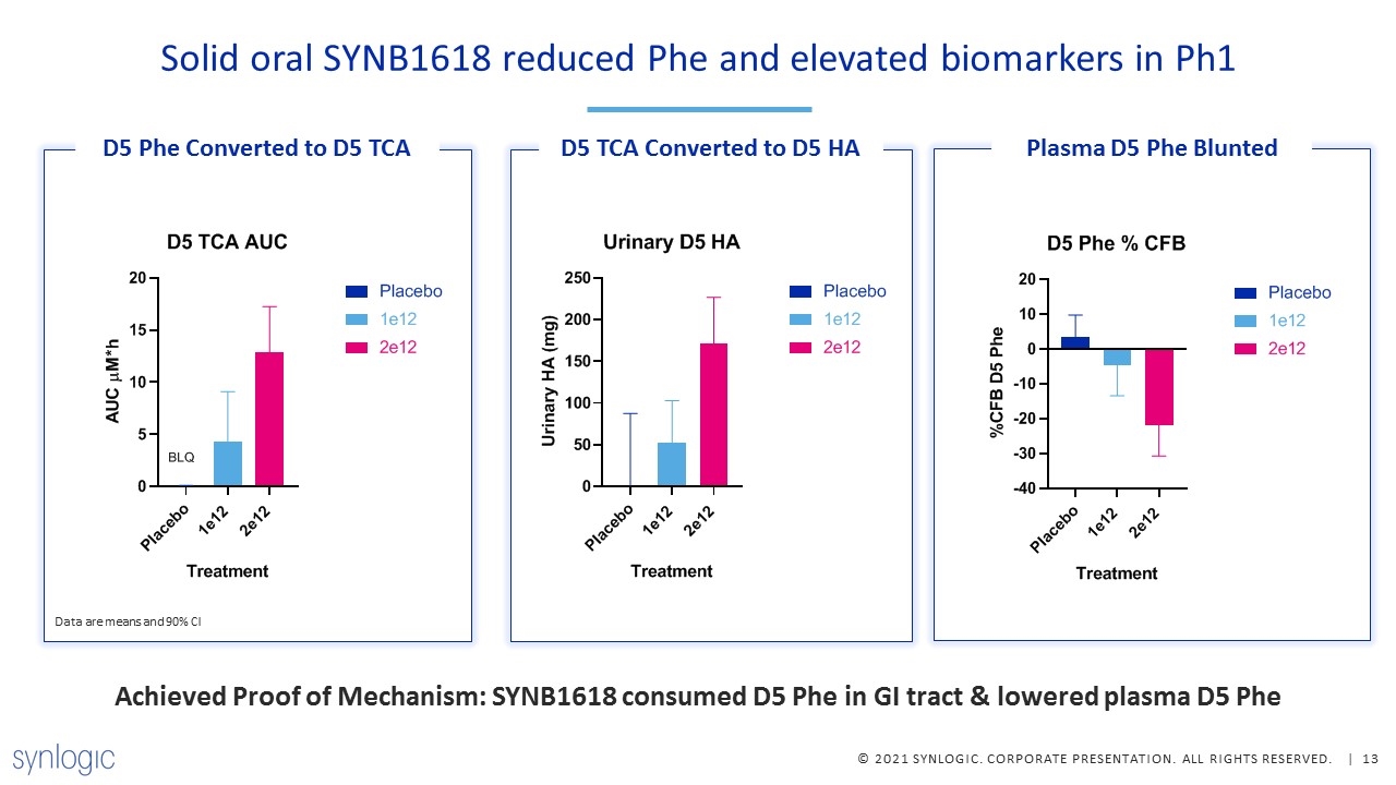 Slide 13