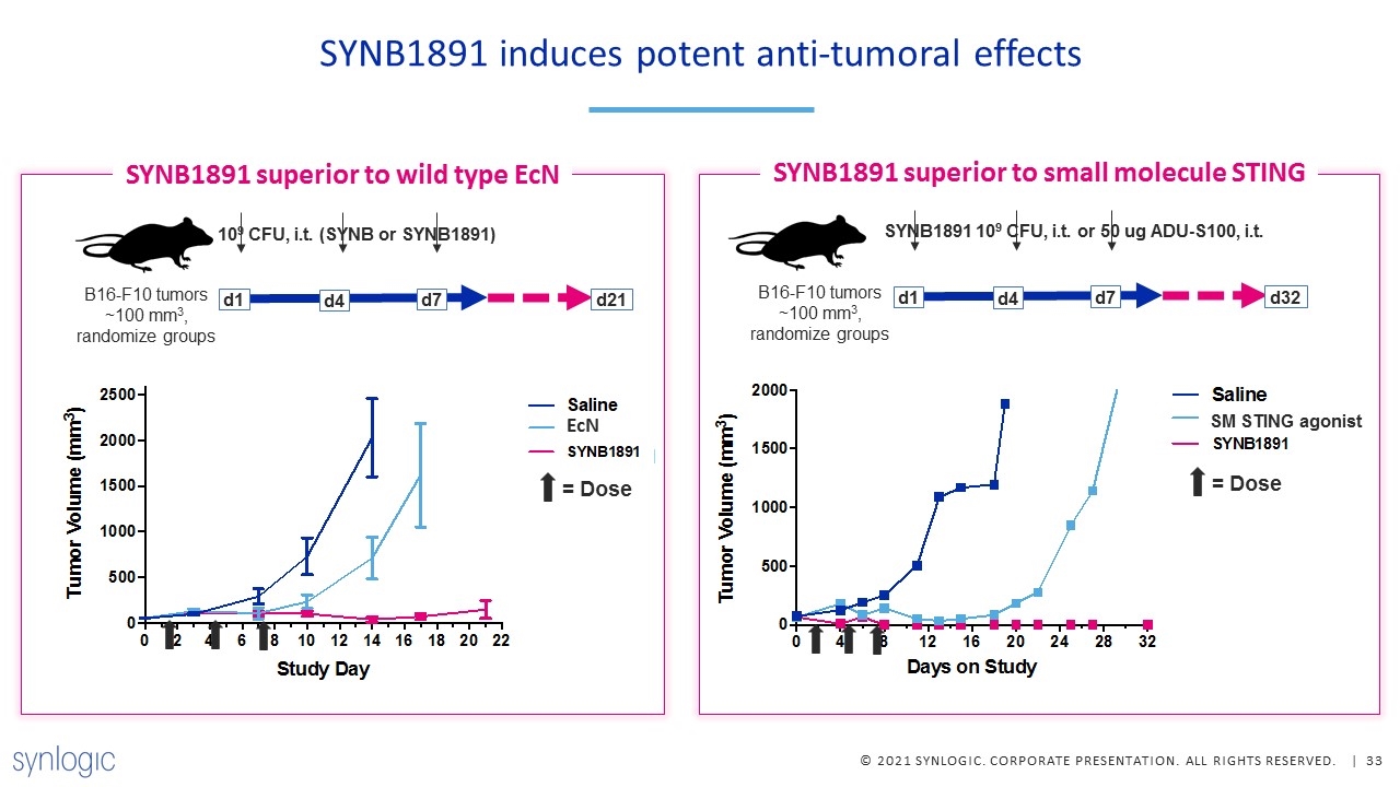 Slide 33