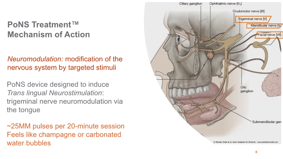 Slide 8