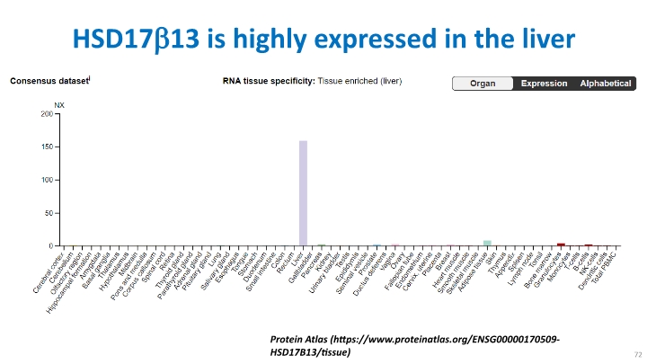 Slide 72