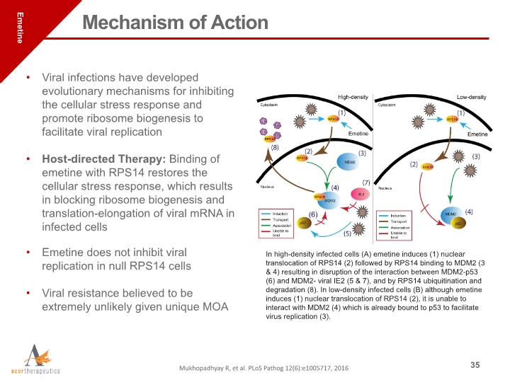 Slide 35