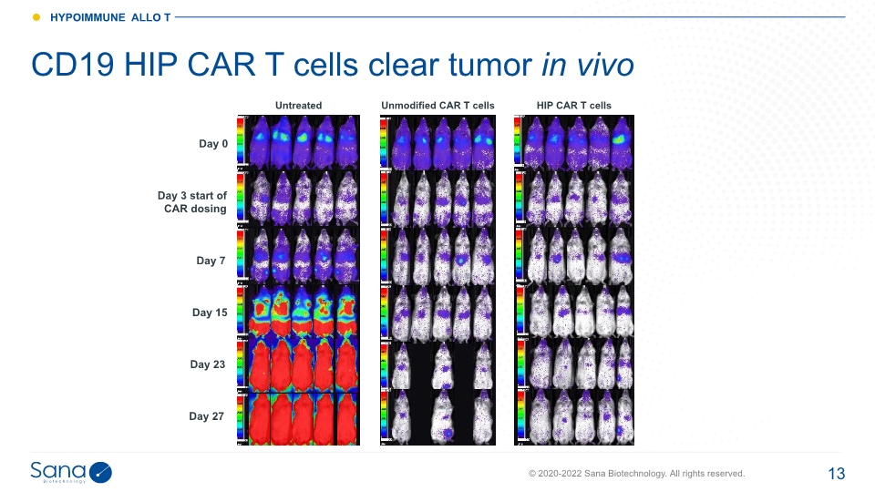 Slide 13