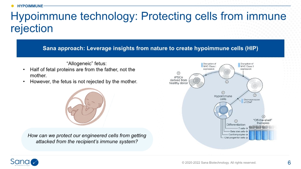 Slide 6